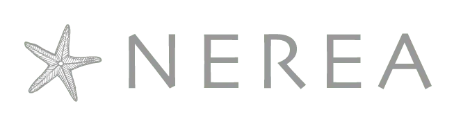 Logo de cliente de 1+3