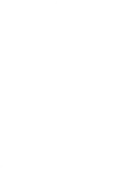 Logo de cliente de 1+3